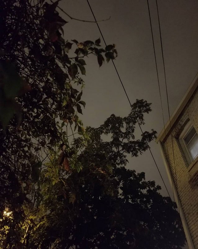 images from extravaganzaland
